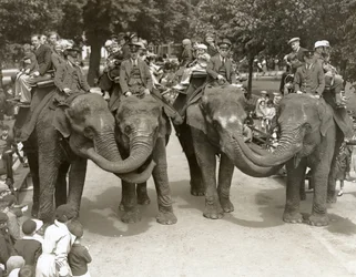 Olifantenritten in de Londense Zoo, juli 1936