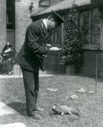 Verzorger Collins op een grasveld in de Londense dierentuin met een bewolkte rotsleguaan aan een lijn, Londense dierentuin, 1924