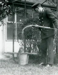 Verzorger Thomas Raggett geeft een Tawny Frogmouth een douche, London Zoo