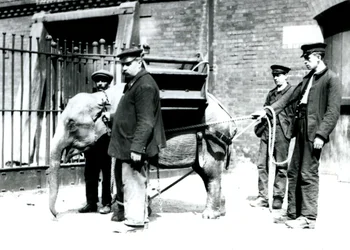 Verzorgers Jack Milbourne, H Robertson en Thomas trainen een jonge Aziatische Olifant, London Zoo, mei 1922