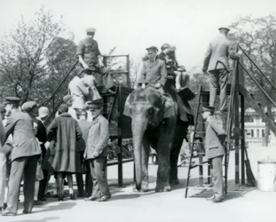 Bezoekers in de rij voor een Olifantenrit terwijl anderen instappen met de hulp van vijf verzorgers, London Zoo, 1927