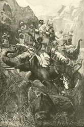 Tijgerjacht in India (gravure)