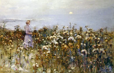 Zomerzon