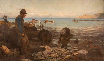 De oogst van de zee