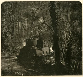 De Ocklawaha-rivier 