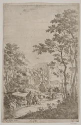 Berggebied