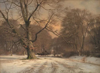 Winterlandschap. Motief uit Jægersborg Dyrehave