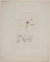 Bloemenmotief