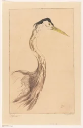 Reiger