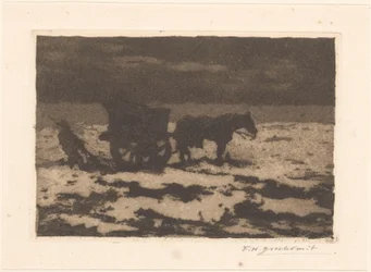 Schelpenvisser