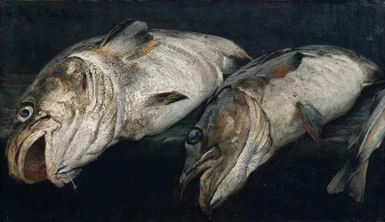 Kabeljauw
