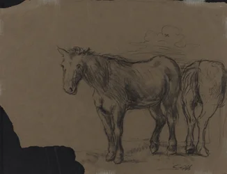 Paarden