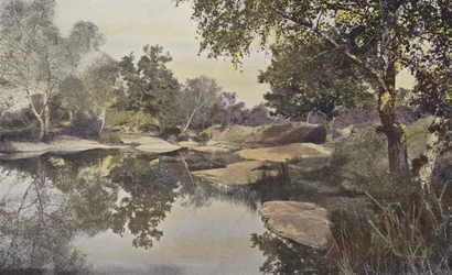 Fontainebleau, bos, vijver van Franchard