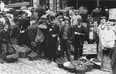 Tuinmannen van de Les Halles markt, Parijs, 1907