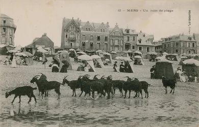 Mers - een deel van het strand