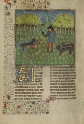 Een jager die honden traint om te reageren op het geluid van een hoorn, c.1430-40