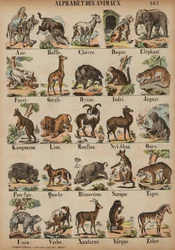 Van A tot Z van dieren