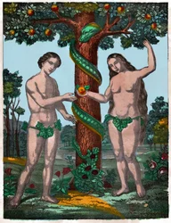 Adam en Eva
