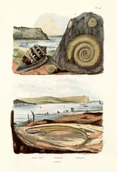 Admiraal Cone, 1833-39