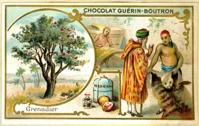 Advertentie chromolithografie van Guérin Boutron chocolade