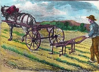 Landbouw: een van de eerste mechanische schoffelmachines, met dierlijke tractie, gebruikt in een bietenveld