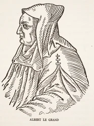 Albert de Grote