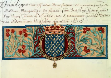 Wapens van Frankrijk (omgeven door de ketting van de Orde van Sint-Michiel en bekroond door de koninklijke kroon)