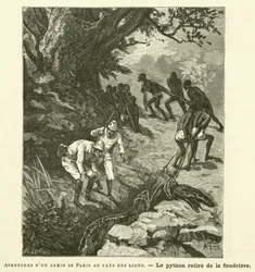 Avonturen van een Parijse jongen in het land van de leeuwen