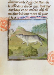 Dasssen, uit het Livre de la Chasse door Gaston Phebus de Foix (1331-91)