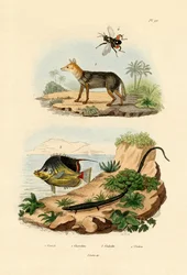 Zadeljakhals, 1833-39