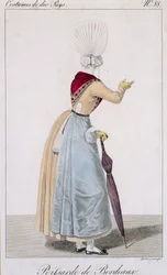 Bordeaux vis