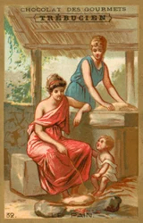 Brood
