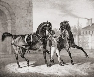 Koetspaarden voor de koning van Engeland, 1836