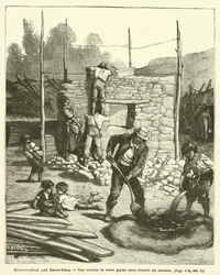 Kolonisatie in de Verenigde Staten