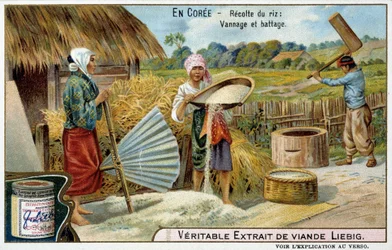 Korea: rijstoogst, weven en dorsen - chromo. Liébig, ca. 1900