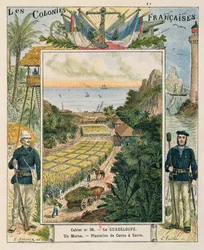 Omslag voor een schoolschrift met een suikerrietplantage in Guadeloupe