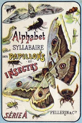 Omslag van "Syllabary alfabet van vlinders en insecten"