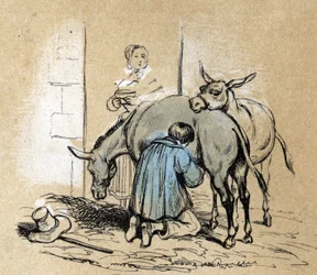 Beschrijving van de verschillende producten en toepassingen van de ezel: de productie van ezelinnenmelk wordt gebruikt als schoonheidsproduct. Detail van de plaat 