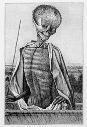 Dokter Dood, uit een Getijdenboek, illustratie uit Wetenschap en Literatuur in de Middeleeuwen en de Renaissance, geschreven en gegraveerd door Paul Lacroix, 1878