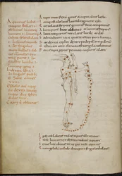 Tekening van het sterrenbeeld Waterman, met de sterren aangegeven als rode stippen, uit 