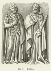 Druïden
