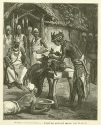 Van de Niger naar Centraal-Soedan