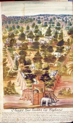 Olifantenjacht in Siam, uit een verslag van de Jezuïeten in Siam, 1688