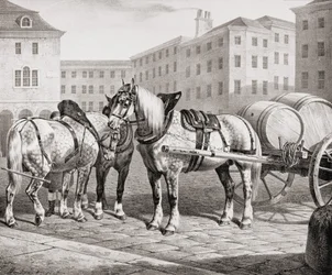 Engelse boerderijpaarden, 1823