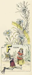 Bloemen