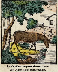 Fabels van La Fontaine: het hert dat zichzelf in het water ziet (spinal afbeelding, eerste helft 19e eeuw)