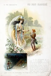 Fee Berliquette