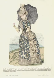 Franse modeplaat, 1885-86
