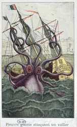 Reuzenoctopus, illustratie uit LHistoire Naturelle Generale et Particuliere des Mollusques door Denys-Montfort, ca. 1802-03