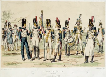 Grenadiers te voet van de Keizerlijke Garde van Napoleon I